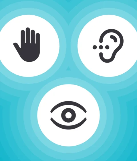 an icon of a hand, an ear and an eye in three white circles on a blue background