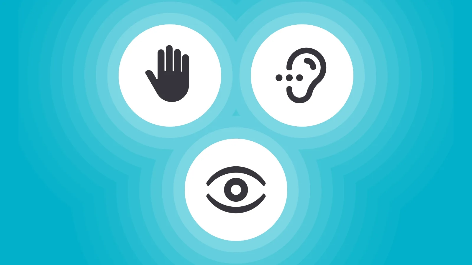 an icon of a hand, an ear and an eye in three white circles on a blue background